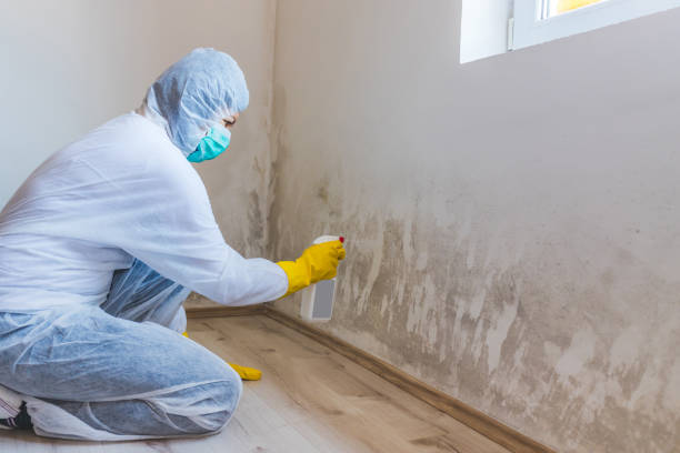 Mold Remediation specialist working in Sedley